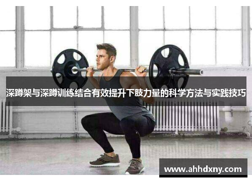 深蹲架与深蹲训练结合有效提升下肢力量的科学方法与实践技巧