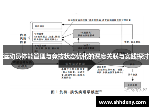 运动员体能管理与竞技状态优化的深度关联与实践探讨