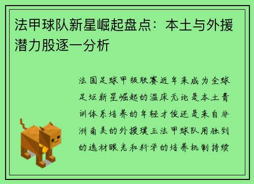 法甲球队新星崛起盘点：本土与外援潜力股逐一分析
