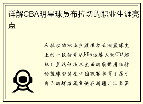 详解CBA明星球员布拉切的职业生涯亮点